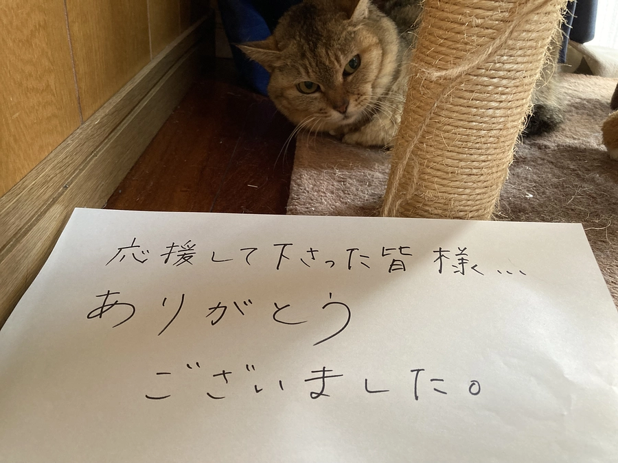 目標達成のご報告と御礼