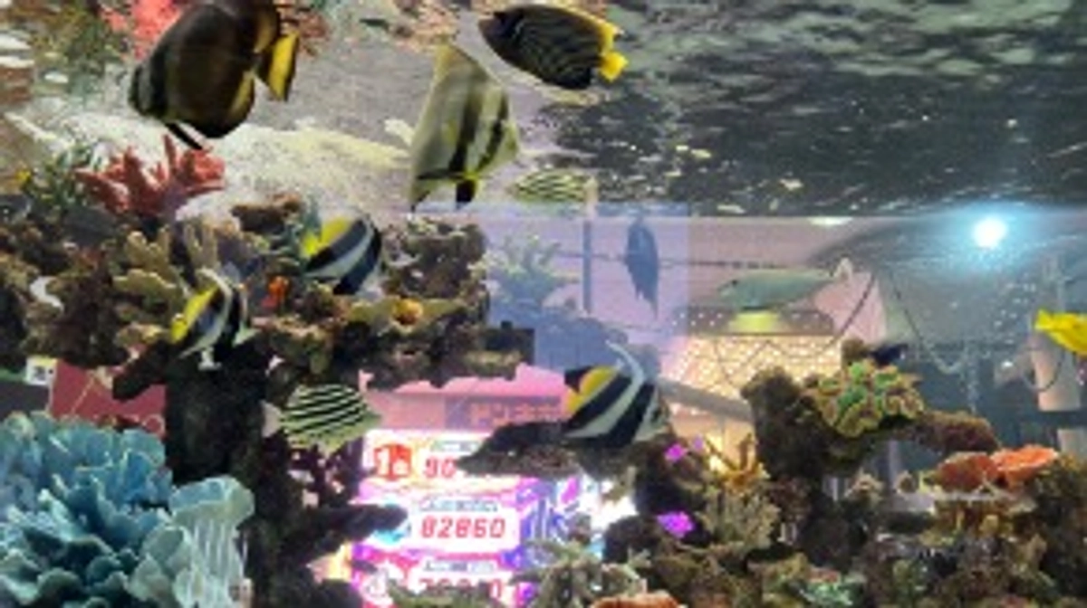 クラウドファンディング