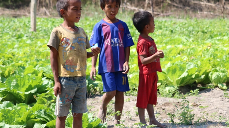 インドネシアの子どもたちに、モリンガで栄養改善を