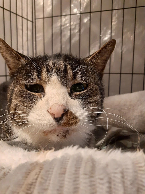 はじめまして【もなか君】