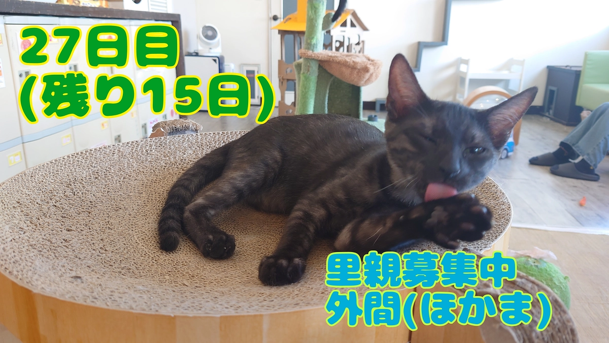 魅惑の肉球フレーバー。