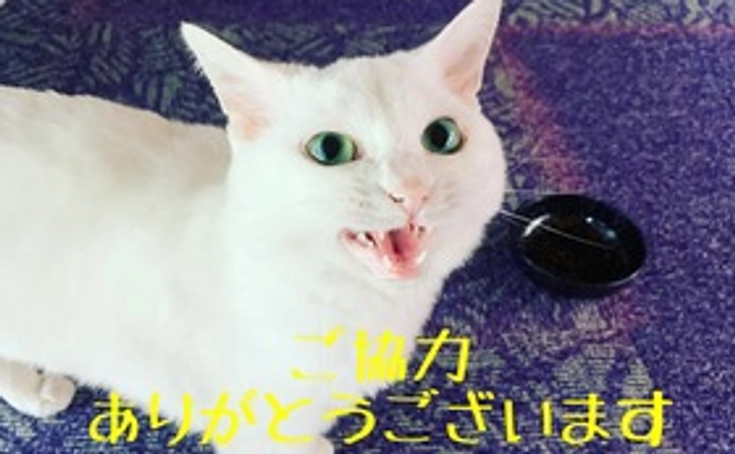 感謝のメール 1