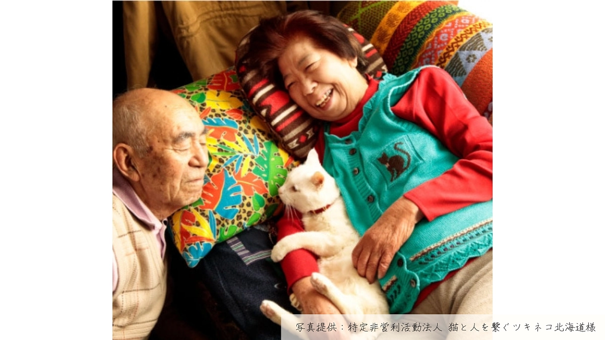 450万円突破！「特定非営利活動法人 猫と人を繋ぐツキネコ北海道」の「保護猫の永年預かり制度」ご紹介