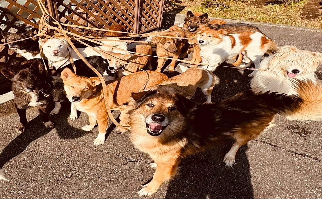 毎月30000円コース