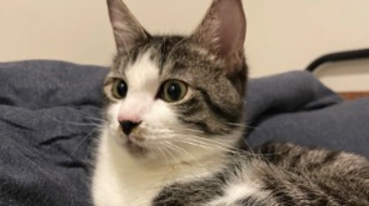 土曜日は、一緒にすごします。