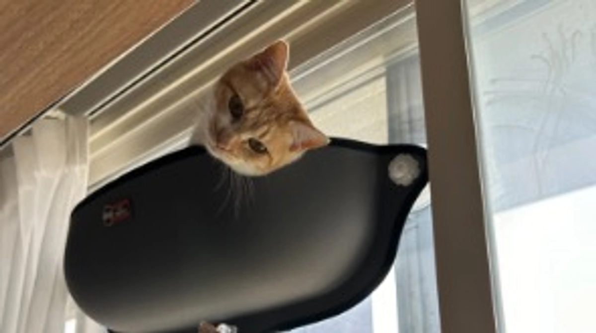 経過観察13日目（5/24）