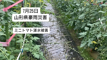 豪雨災害をうけ、機械の修理費と今後の活動資金の支援をお願いします。