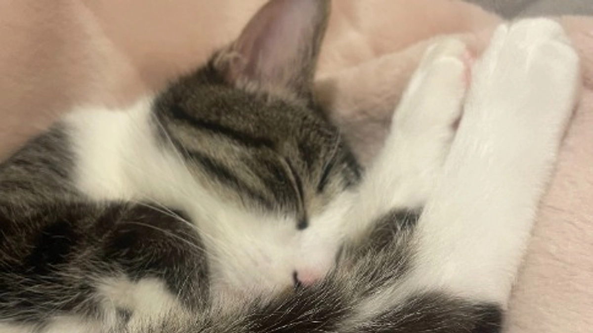 よく食べて、よく寝て。