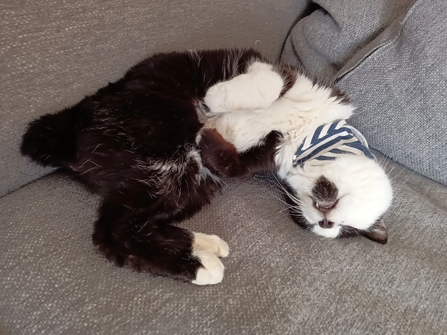 クラウドファンディング終了報告