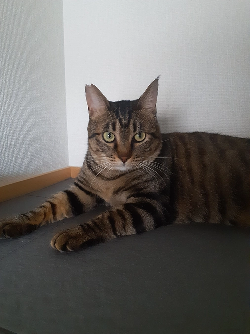 【やまと君】トライアル先から戻ってきました。