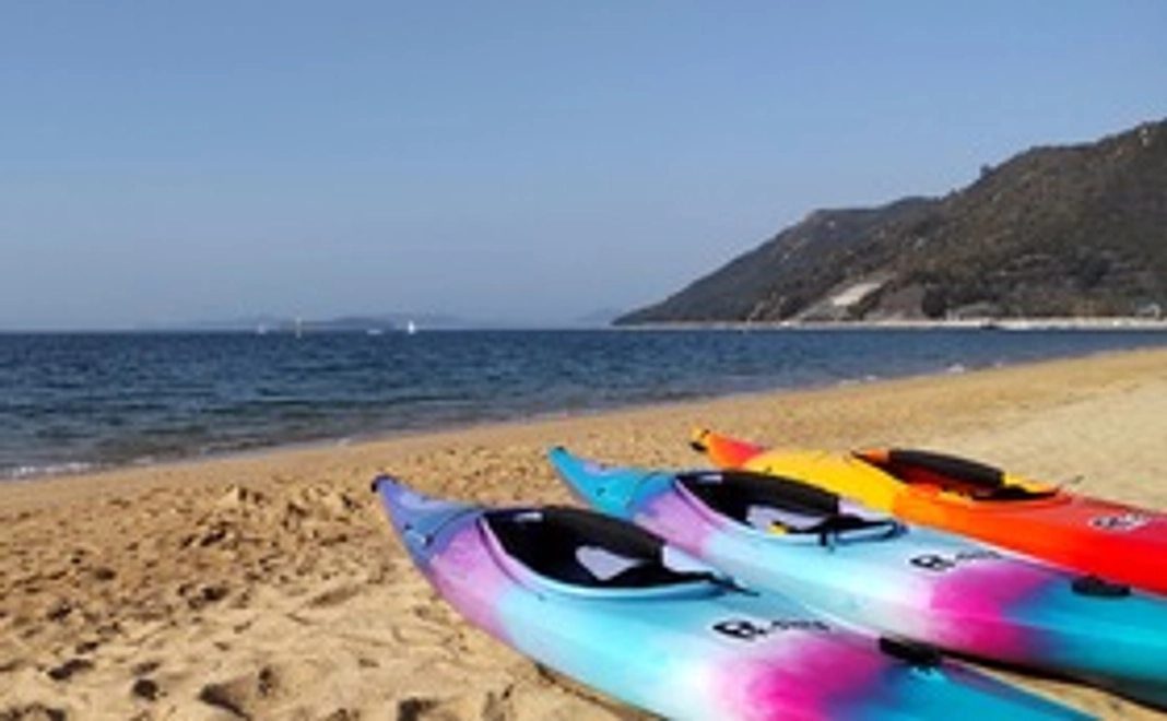 感謝のお礼ハガキ