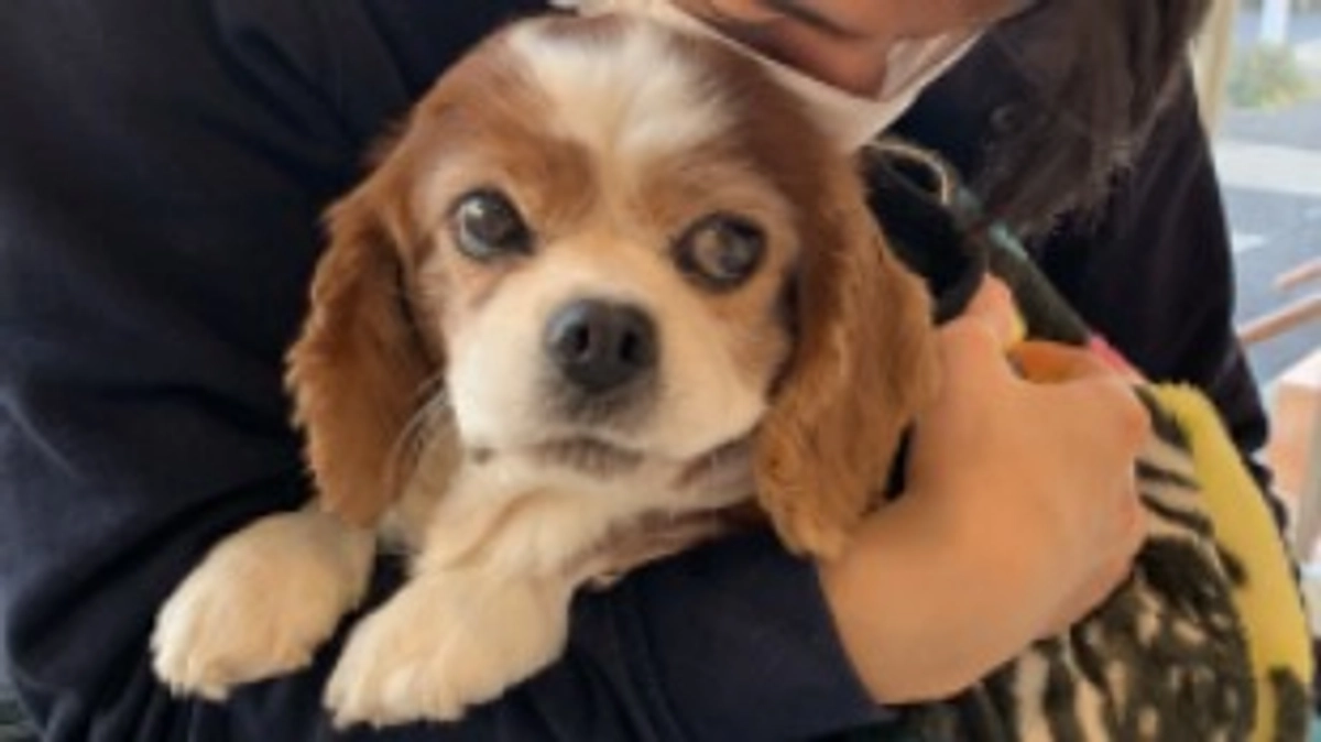 術後1日目、ルイに会いにいってきました！