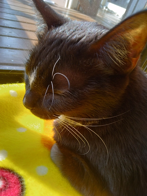 1/19はなちゃんの様子