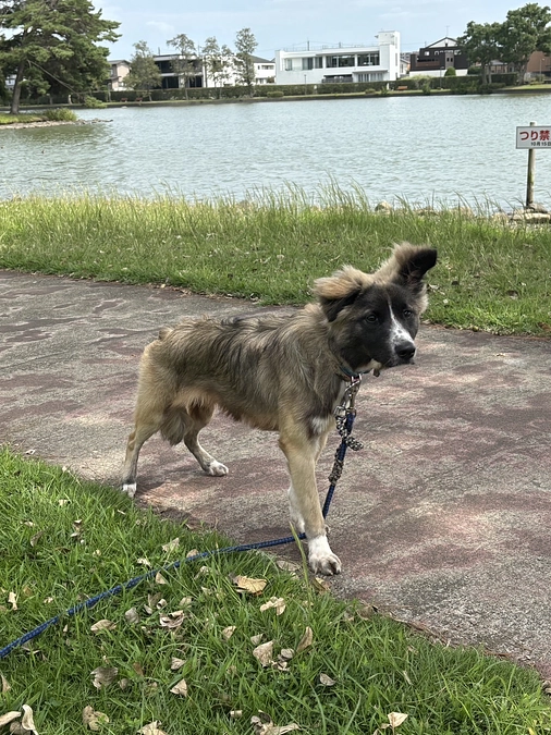 2025年9月活動報告