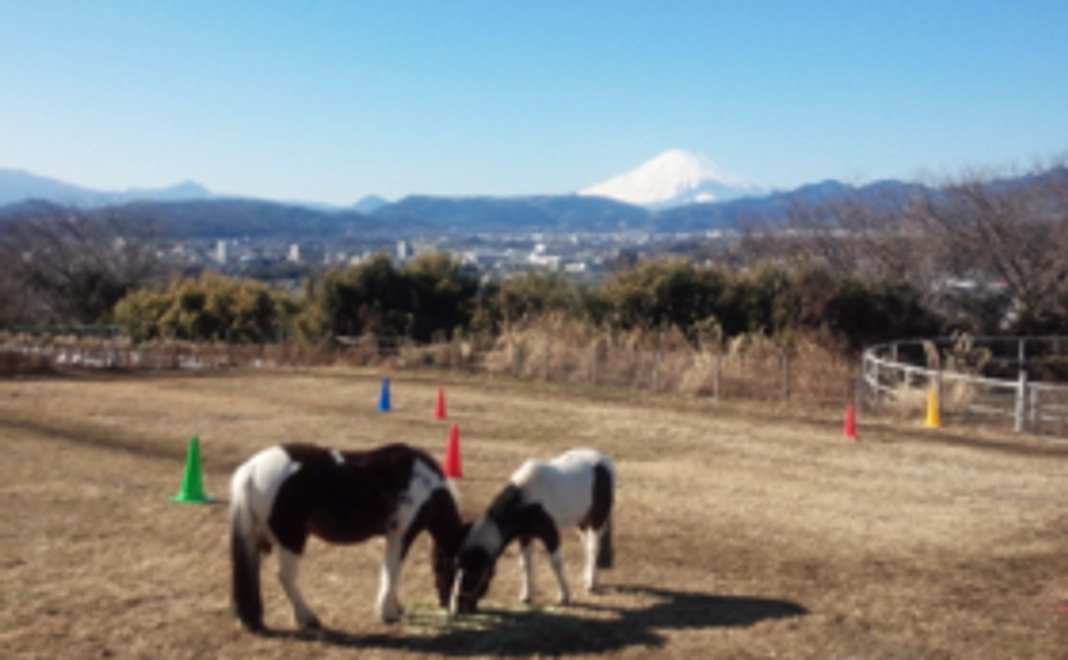 メールと報告書をお送りします！