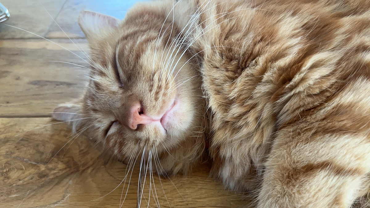 書きたかったこととは違うけど