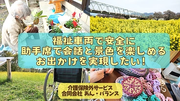 福祉車両で安全に助手席で会話と景色を楽しめるお出かけを実現したい！ のトップ画像