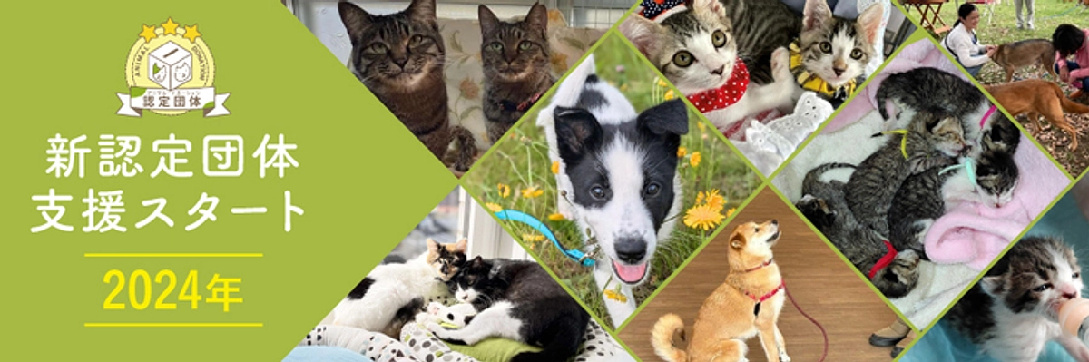 【あと３日！】2024年度のアニドネ新認定6団体の活動内容をご紹介します！