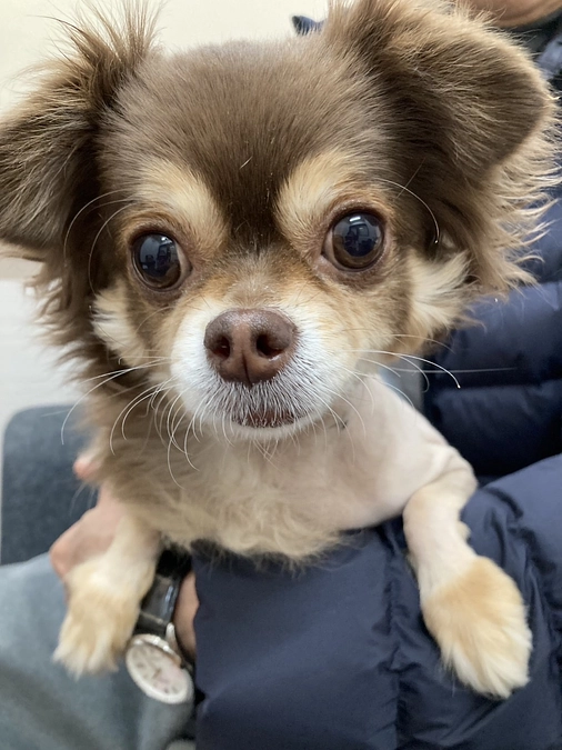 安心から一転、術後の試練