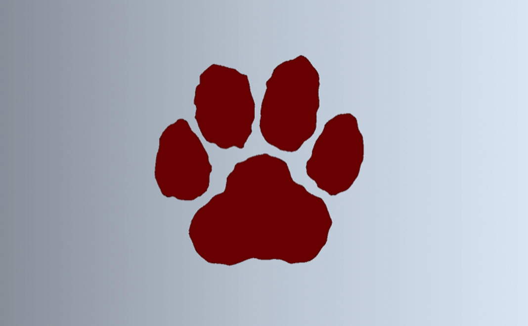 応援コース | 5,000円