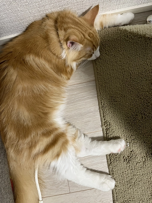 インスタライブありがとうございました