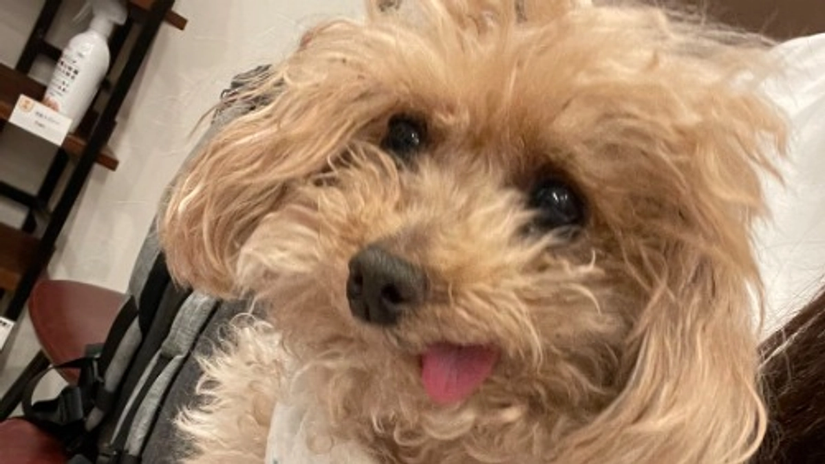 手術日が決まりました🏥