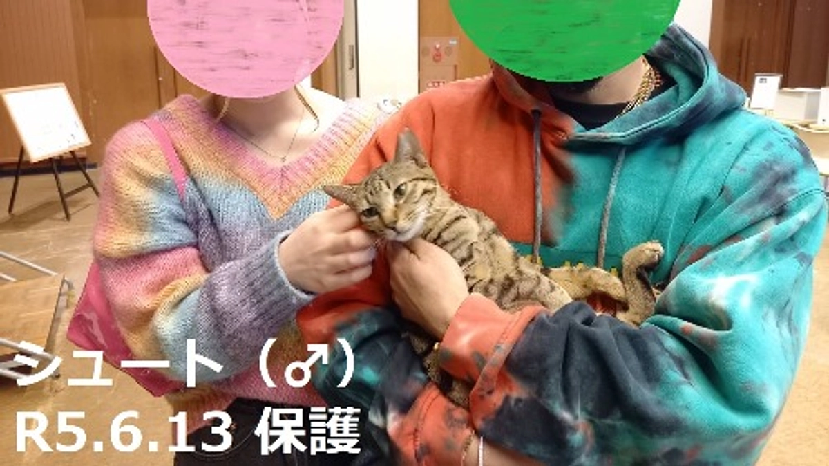 今年6回目の里親会