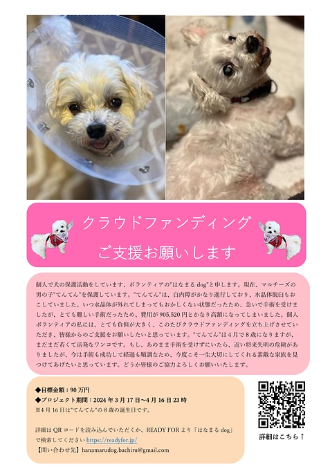 チラシを作成しました！