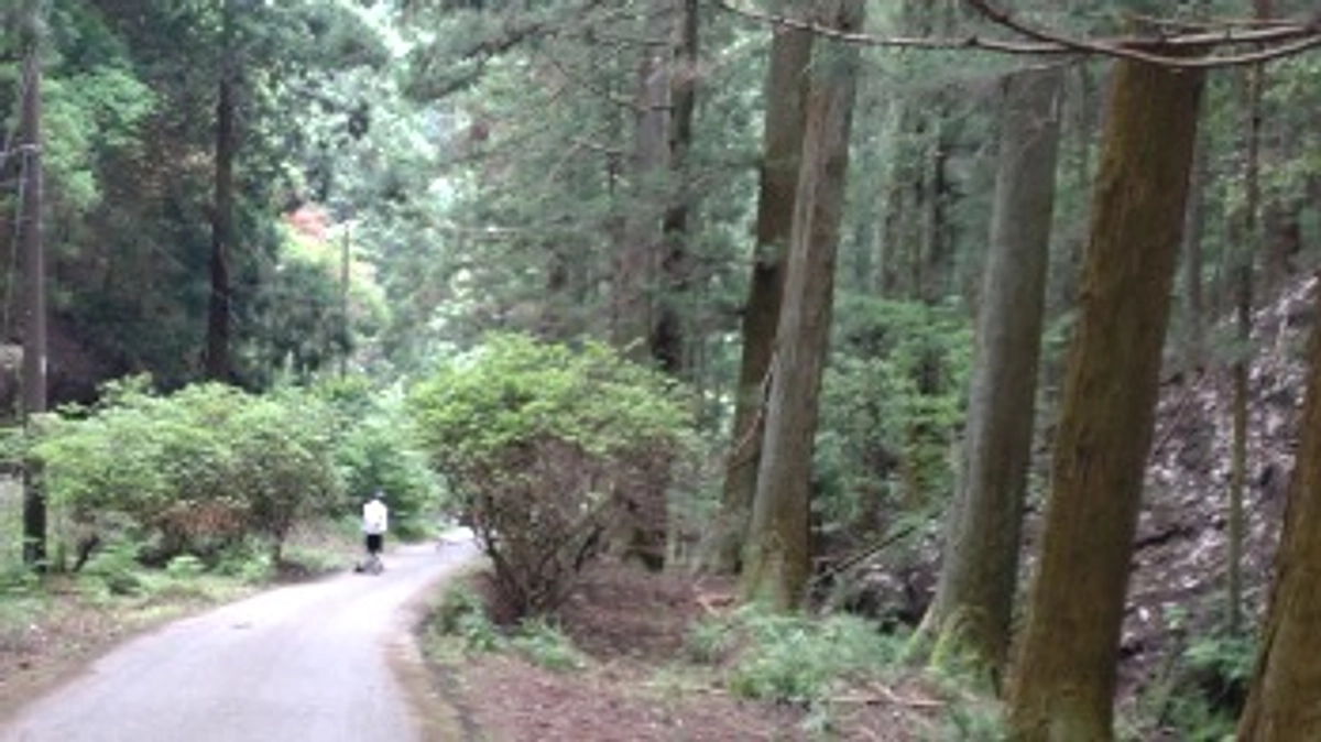 弁天さまクリーン活動