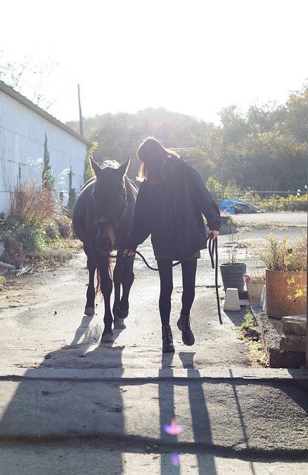 馬との関わり、レッスンについて