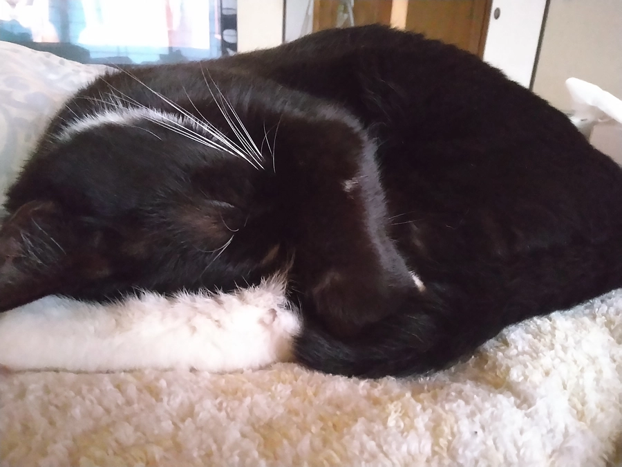 5/21はなちゃんの様子