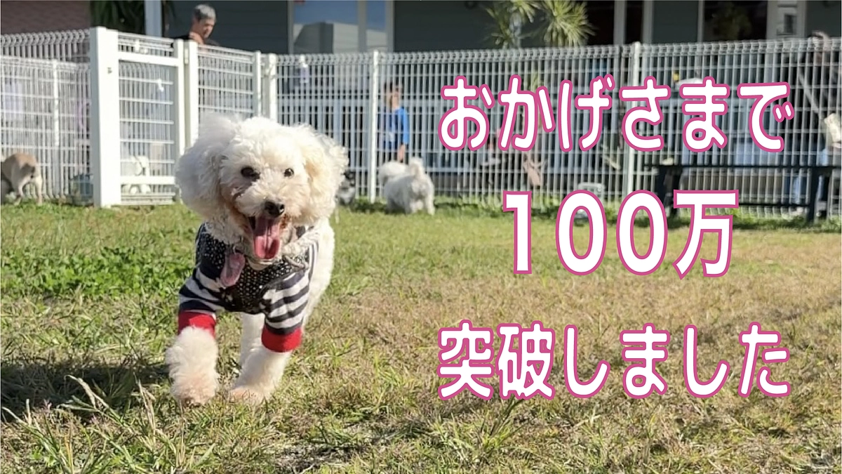 目標金額の33%、100万突破！