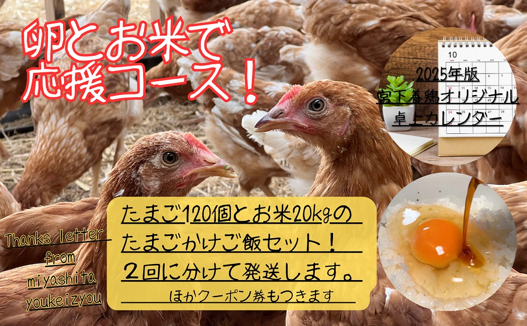 宮下養鶏を「たまごとお米で応援！」コース３