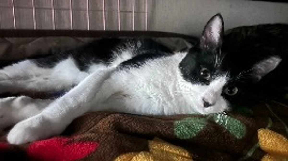 【 プロジェクト達成のご報告とお礼 】