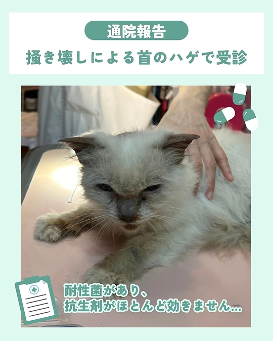 こんな可愛い子に、どうしてまた試練…😭