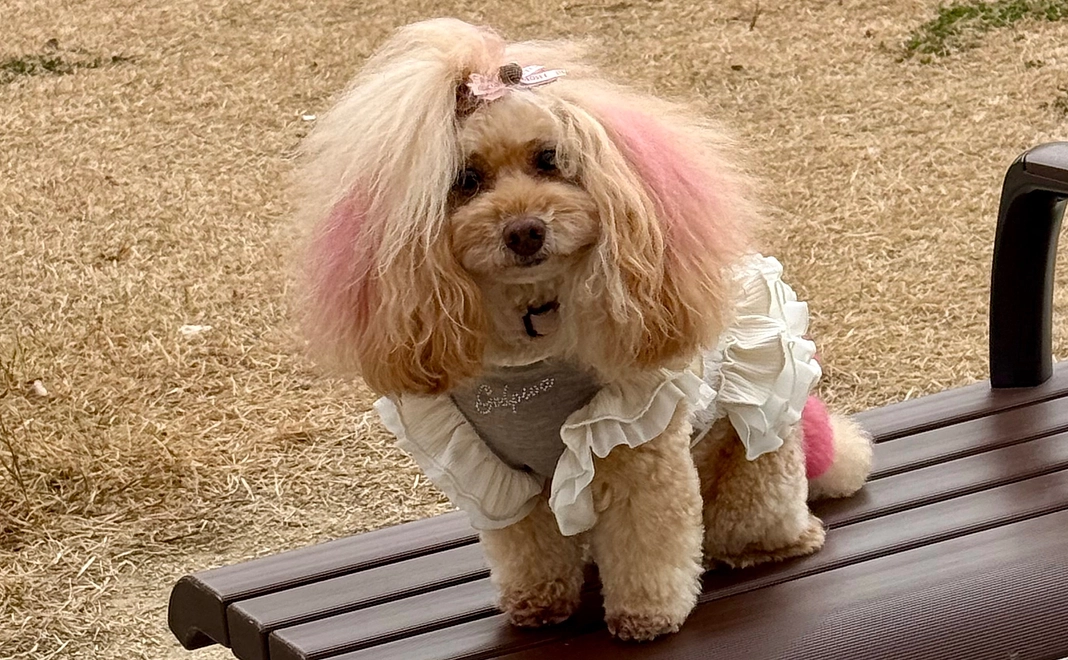 感謝のメールを必ず送りますD