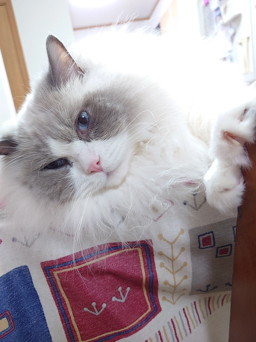 ご報告があります。