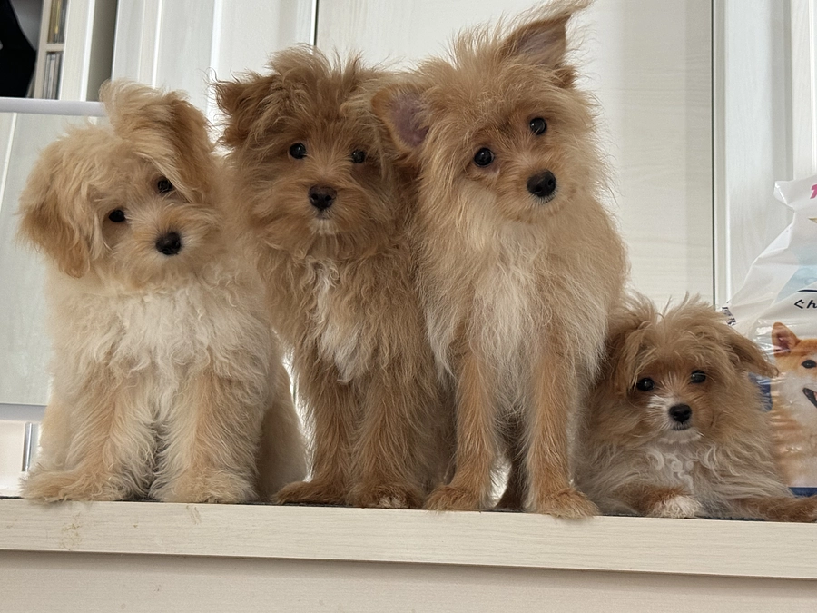 少しずつ大きくなってきています☺️