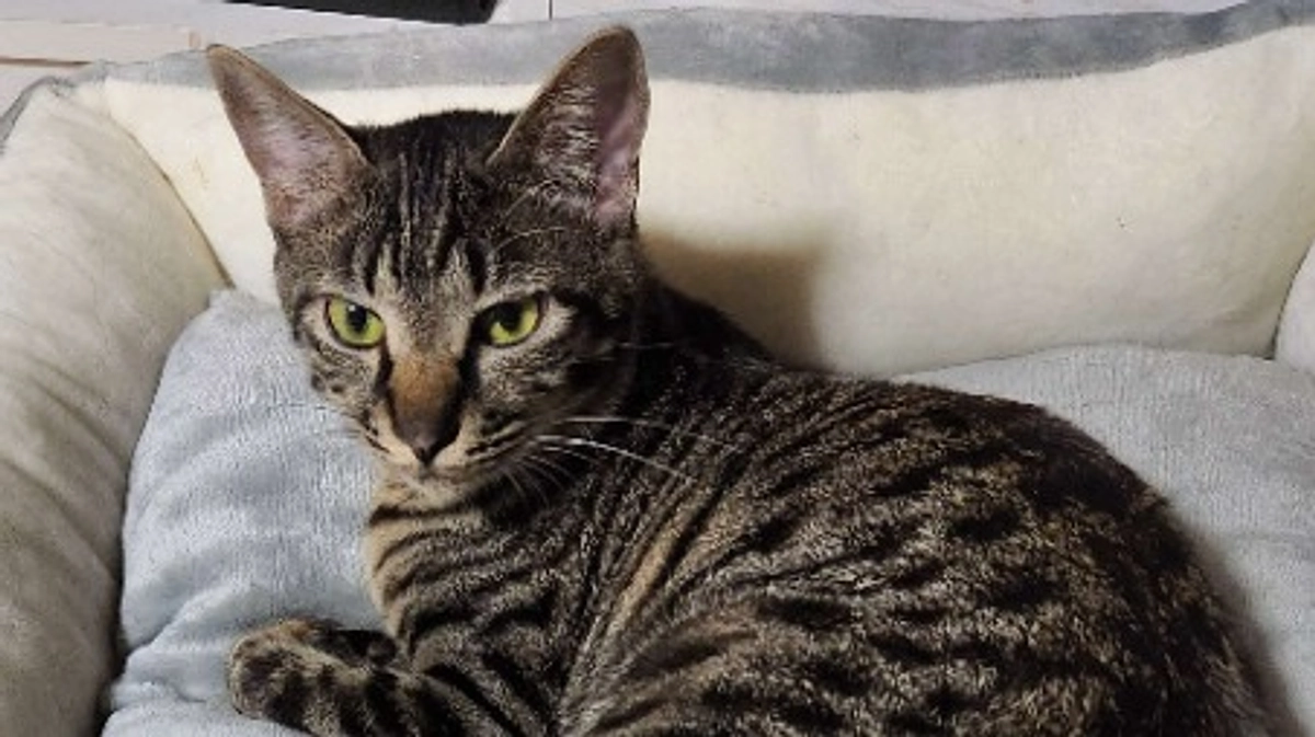 楓日記(9月10日)