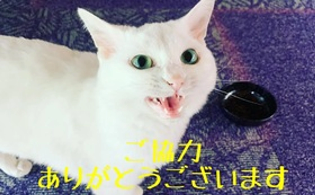 感謝のメール 2