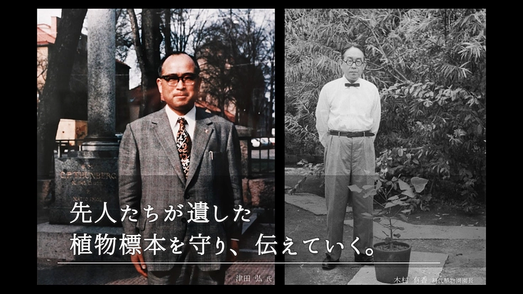 100年間受け継がれてきた植物標本を次世代へ｜東北大学植物標本庫 8枚目