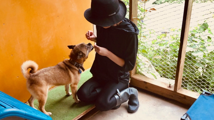 犬舎建設 Part2: プレハブ暮らしの犬達を光ある犬舎へ！