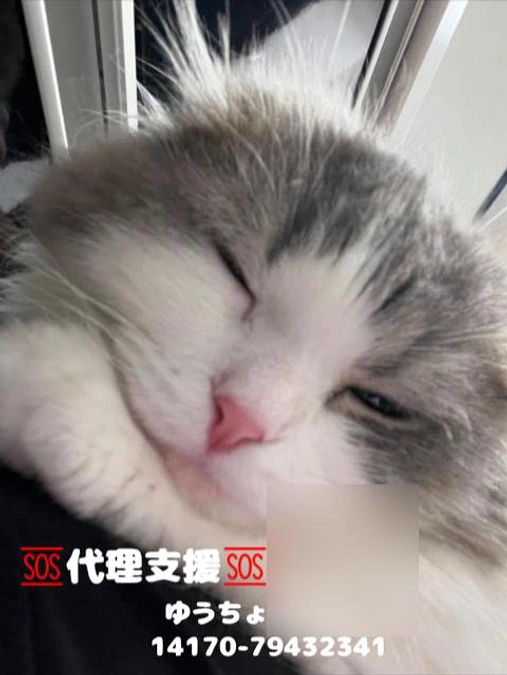 代理支援について