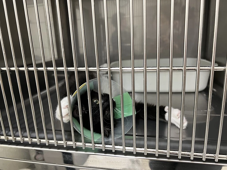 本日最終日２３時まで。どうぞ最後までよろしくお願いします