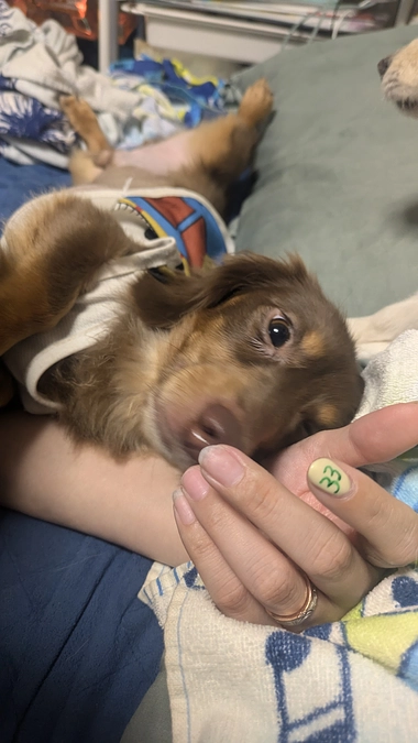 ご支援ありがとうございます🩷︎︎︎⋆*