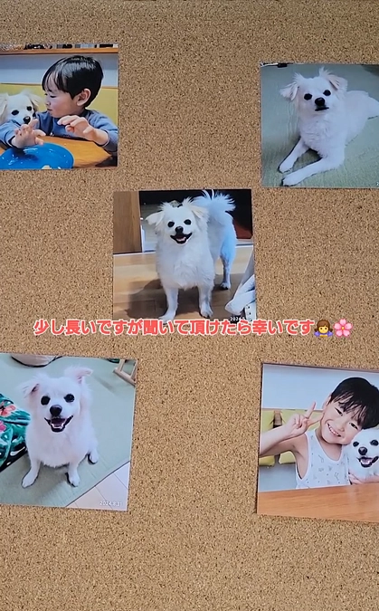 Instagramでの音声発信投稿