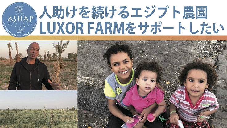 人助けを続けるエジプト農園LUXOR FARMをサポートしたい