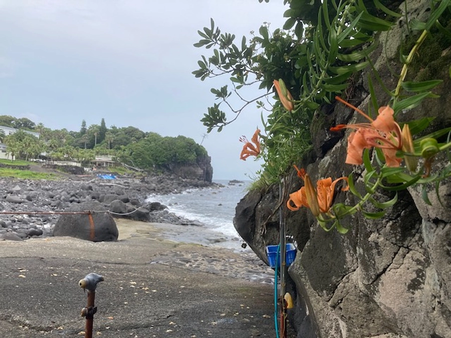 残り一か月を切りました。ここから更に皆様のお力添えを！