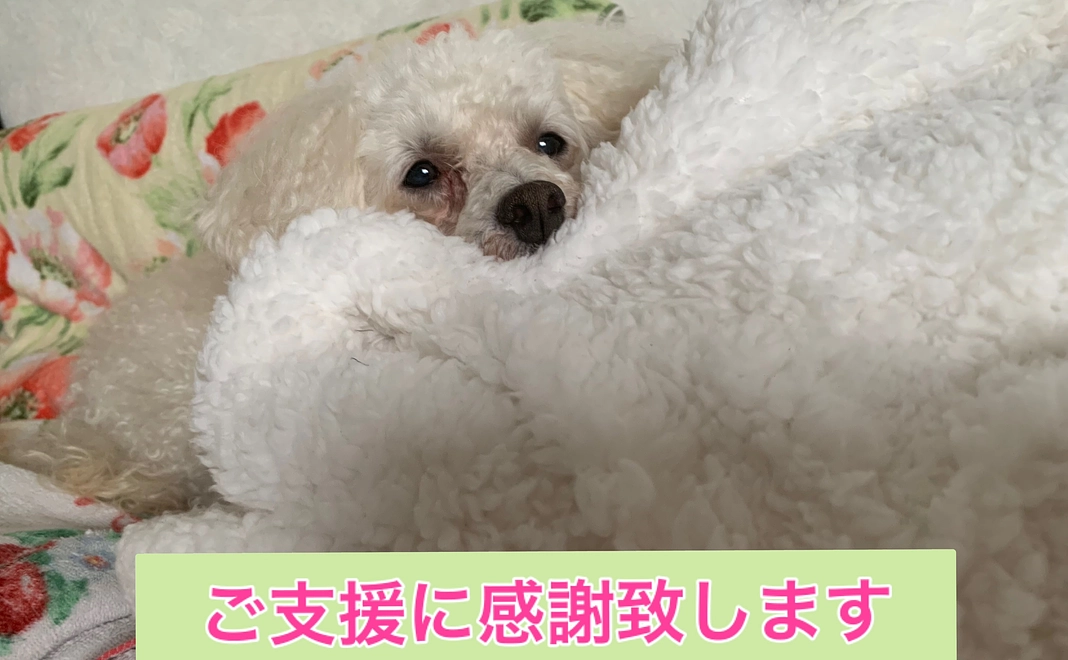 ロンを救いたい1