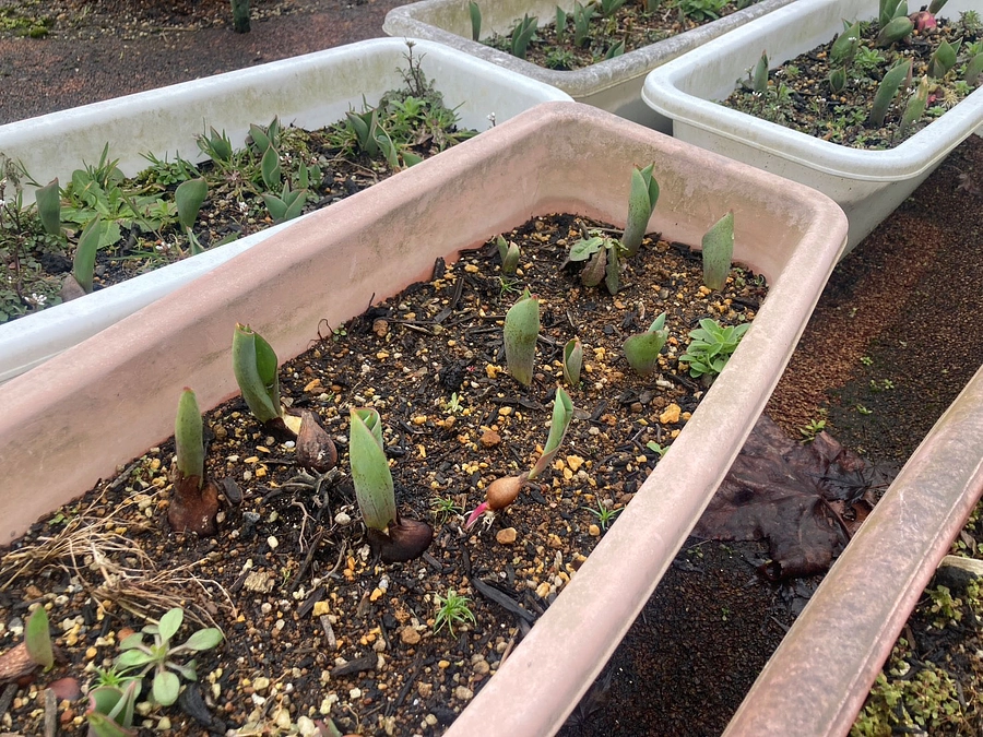 【近況報告】2月24日 今週末